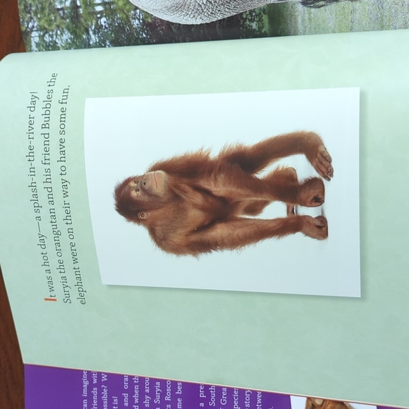 3/$20🌟 Suryia & Roscoe: The True Story of an Unlikely Friendship Hardcover Book - Picture 7 of 9